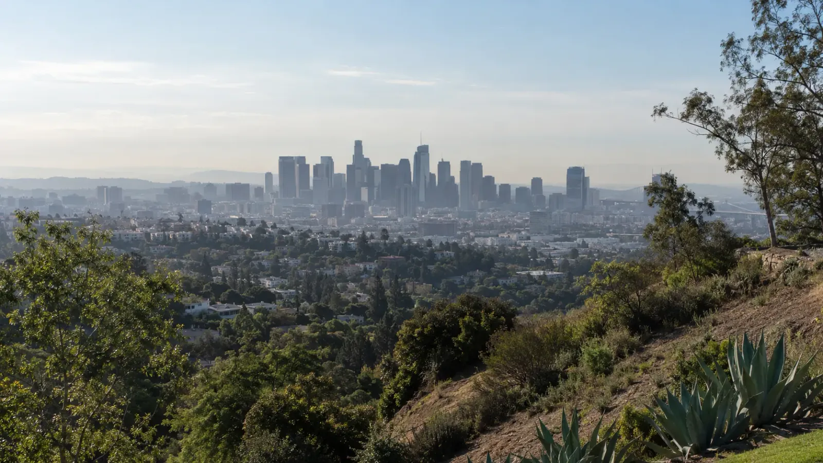 Downtown Los Angeles skyline seen from a hillside trail, with tree covered neighborhoods spread below the towers